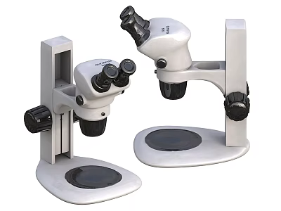 Medical Equipment Binocular Microscopes for Laboratory Use with Stable Base Design 3d model