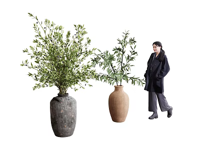 Decorative Green Plants in Terracotta Vase and Dark Ceramic Pot for Home Decoration 3d model