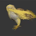 Detailed White Headed Eagle Standing With Brown Wings Yellow Tail Feathers And Claws