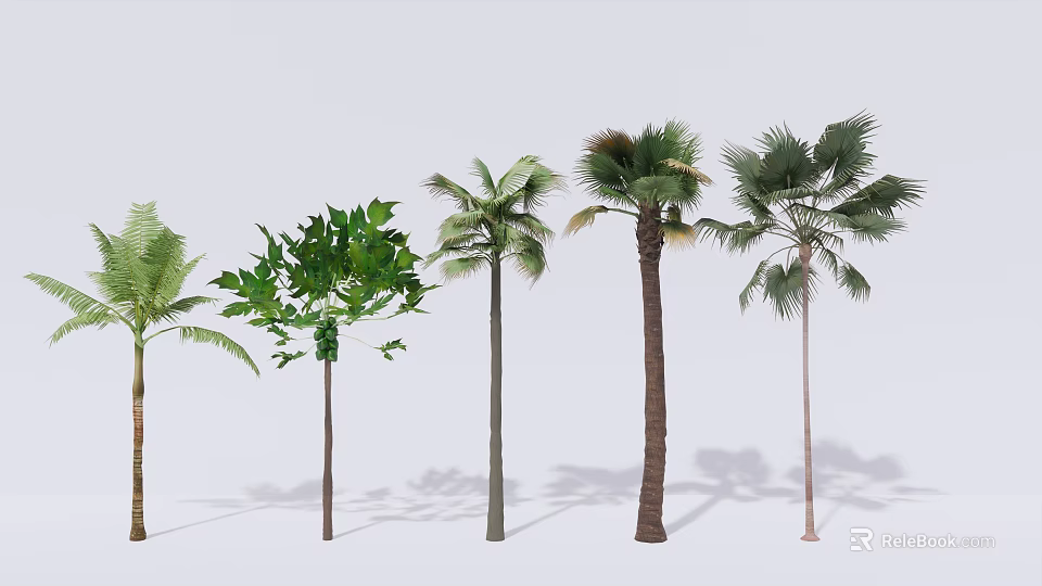 Different Types of Trees with Varied Leaf Shapes and Trunks Arranged in Row 3d model 