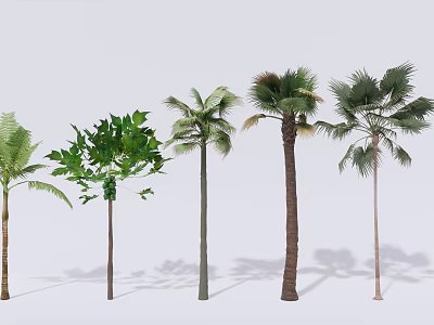 Different Types of Trees with Varied Leaf Shapes and Trunks Arranged in Row 3d model