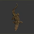 Crocodile Model With Open Mouth And Golden Brown Texture On Black Surface