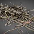 Collection of Various Natural Dry Twigs and Branches on Gray Background