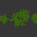 Ornamental Decorative Plant Arrangement with Green and Colorful Foliage Leaves Design