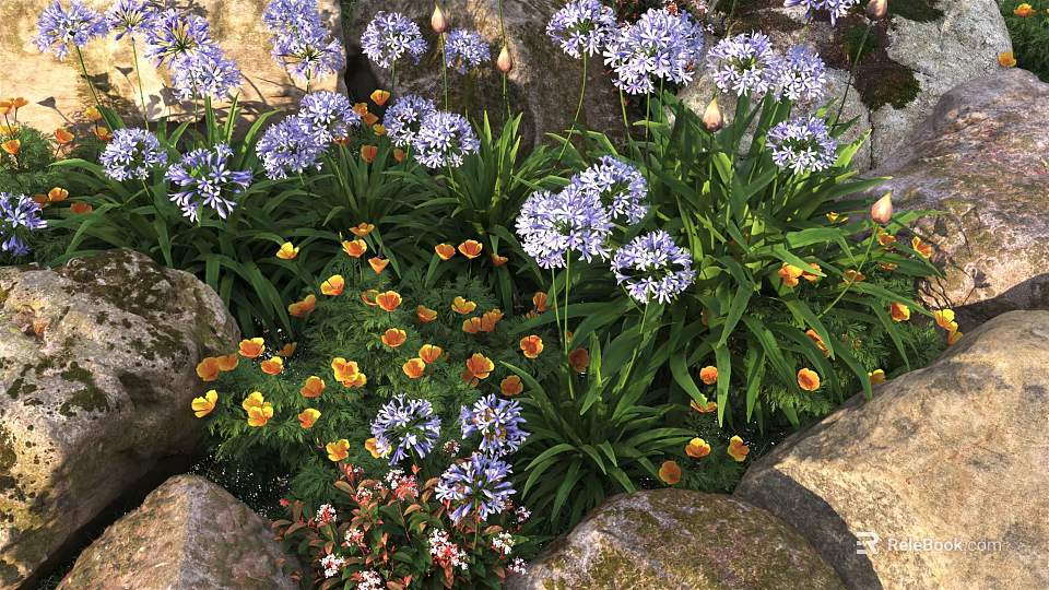 Colorful Garden Flowers With Purple And Yellow Blooms Among Stone Settings 3d model 