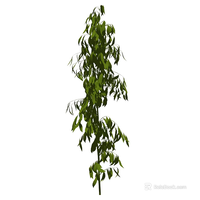 Lush Green Shrub With Dense Foliage And Tall Growing Habit In Garden 3d model 
