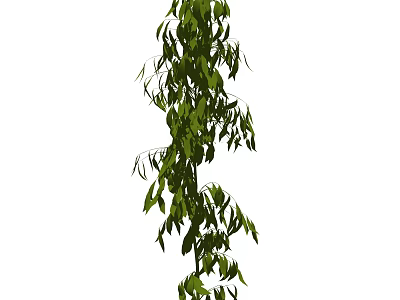 Lush Green Shrub With Dense Foliage And Tall Growing Habit In Garden 3d model