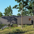 Modern Detached House Surrounded By Tall Trees In Wooded Area With Large Windows