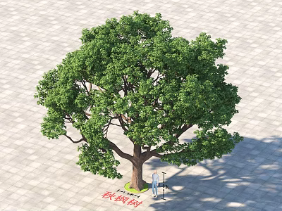 Lush Large Tree With Green Foliage Standing On Paved Ground Area 3d model