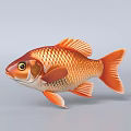 Vibrant Orange And Red Goldfish With Shiny Scales In Aquarium Tank Environment 3d model