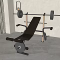 Modern Indoor Home Gym Sports Equipment Including Barbell Weight Bench Curtain And Plant