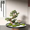 Bonsai Tree With Curved Trunk Green Leaves Small Pavilion And Moss In Black Pot
