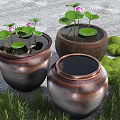 Garden Ornaments Ceramic Jars With Water Lotus Leaves Pink Flowers Green Plants And Moss