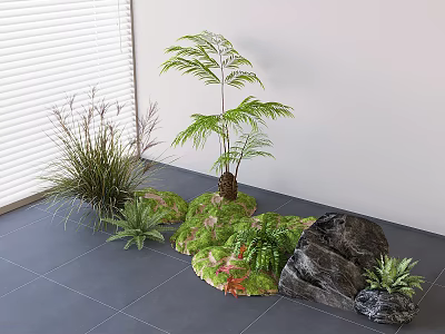 Indoor Decorative Plant Combination With Ferns Grasses Rocks And Moss 3d model