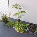 Indoor Decorative Plant Combination With Ferns Grasses Rocks And Moss