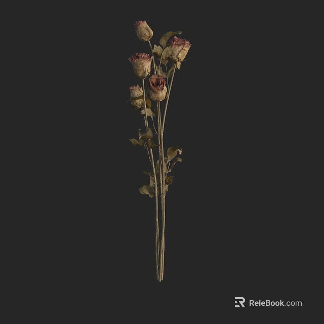 Dried Roses Bouquet With Wilted Petals Stems And Leaves On Dark Background 3d model 