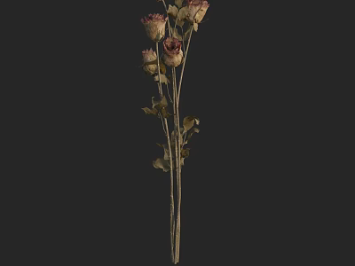 Dried Roses Bouquet With Wilted Petals Stems And Leaves On Dark Background 3d model