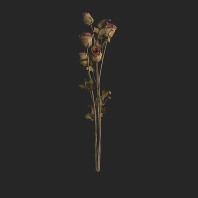 Dried Roses Bouquet With Wilted Petals Stems And Leaves On Dark Background 3d model