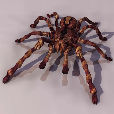 modern spider reptile worm 3d model