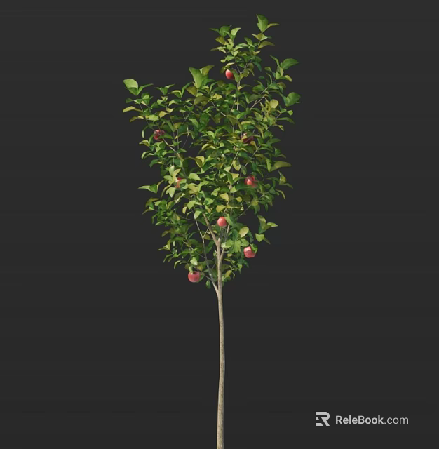 Fruit Bearing Arbor With Lush Green Leaves And Red Ripe Fruits On Slender Trunk 3d model 