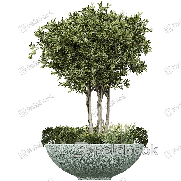 potted Serralunga plant model