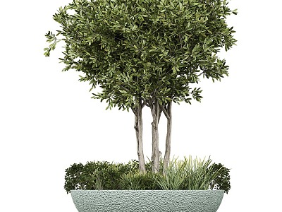 potted Serralunga plant model