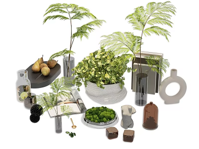 Stylish Decorative Ornament Set With Green Plants Vases Fruits And Books 3d model