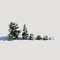 Snow Covered Shrubs of Various Sizes Arranged on Light Background with Soft Shadows