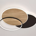 Modern Ceiling Lights With Wooden Elements And Different Shapes White Frame LED Lighting 3d model