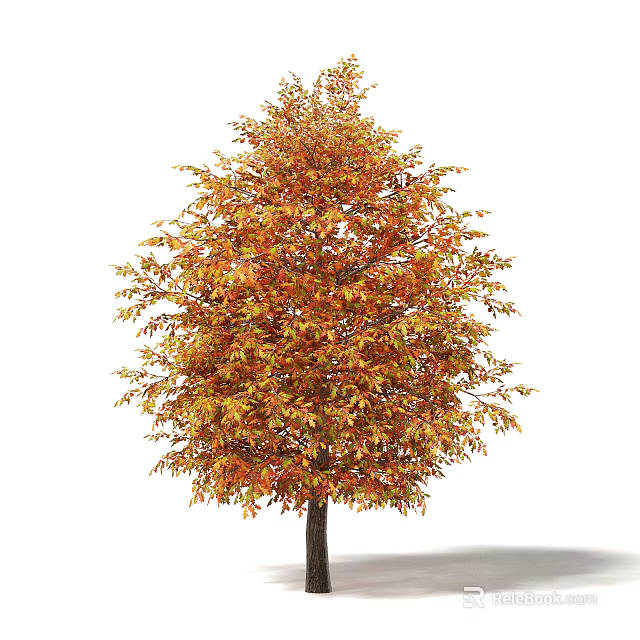 Vibrant Autumn Arbor With Orange Yellow Lush Foliage On White Background 3d model 
