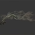 Withered Tree with Twisted Trunk Slender Branches and Rough Texture on White Background
