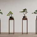 Modern Bonsai Plants on Wooden Stands Against Neutral Wall and Wood Floor