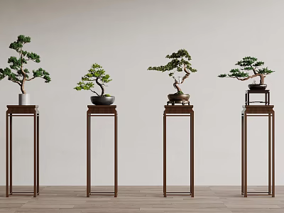 Modern Bonsai Plants on Wooden Stands Against Neutral Wall and Wood Floor 3d model