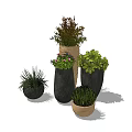 Bonsai Potted Plants In Various Planters With Lush Green Foliage And Flowers