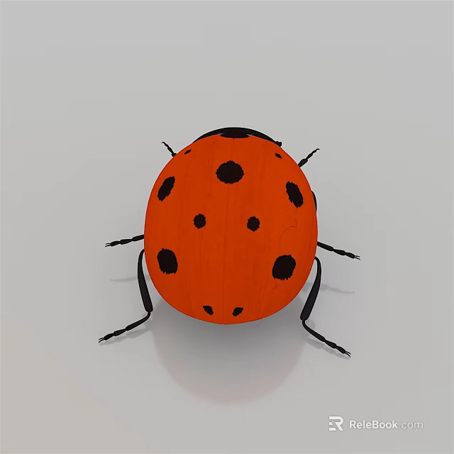 Orange Ladybug Flying Insect With Black Spots On Round Shiny Body Surface 3d model