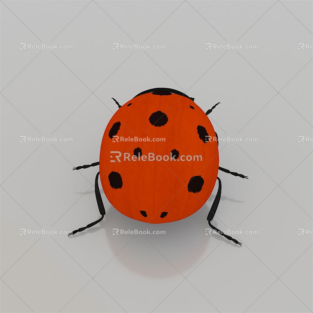 Modern Coccinella septempunctata 3d model