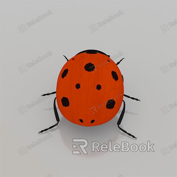 Modern Coccinella septempunctata model