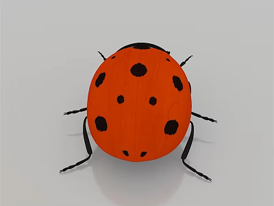 Orange Ladybug Flying Insect With Black Spots On Round Shiny Body Surface 3d model