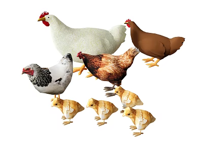 Various Colored Hens And Fluffy Baby Chicks In Farm Animal Group 3d model