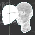 Female Mannequin Heads In White And Skin Tone Against Black Background