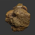 Natural Orange Rock Formation With Rough Textured Surface And Unique Irregular Shape 3d model