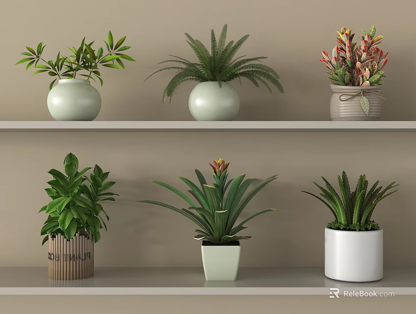 Bonsai Potted Plants On Shelves With Various Pots And Green Foliage 3d model 