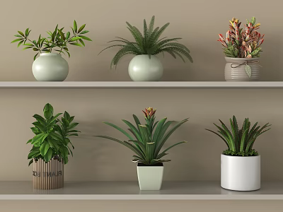 Bonsai Potted Plants On Shelves With Various Pots And Green Foliage 3d model