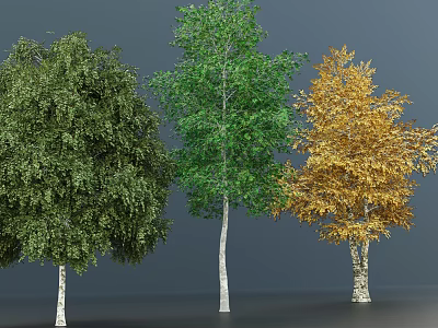 Three Different Colored Arbor Trees With Green Yellow And White Bark 3d model