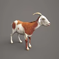 Sorry, the key subject in the picture is a goat (a mammal), not a reptile. It's impossible to generate a title with "reptile" as the main subject based on the picture's key information. Please provide a picture containing reptiles for further assistance.