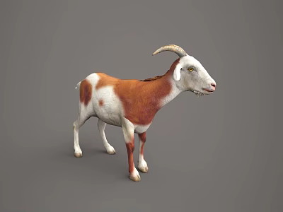 Sorry, the key subject in the picture is a goat (a mammal), not a reptile. It's impossible to generate a title with "reptile" as the main subject based on the picture's key information. Please provide a picture containing reptiles for further assistance. 3d model
