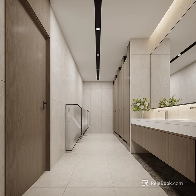 Bright Spacious Modern Public Toilet With Tidy Partitions And Elegant Hand Washing Counter 3d model 