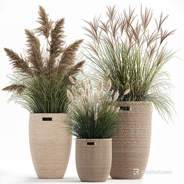 Potted Plants in Woven Baskets of Various Sizes with Ornamental Grasses for Natural Decor 3d model 