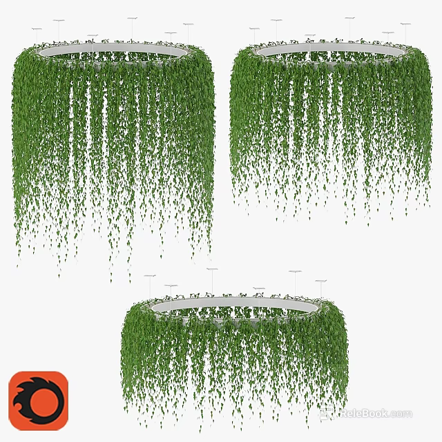 Ornamental Decor Set With Green Hanging Plants For Indoor Decoration 3d model 