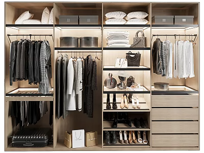 Modern Wardrobe Interior Design With Hanging Clothes Folded Items Shoes And Storage Drawers 3d model